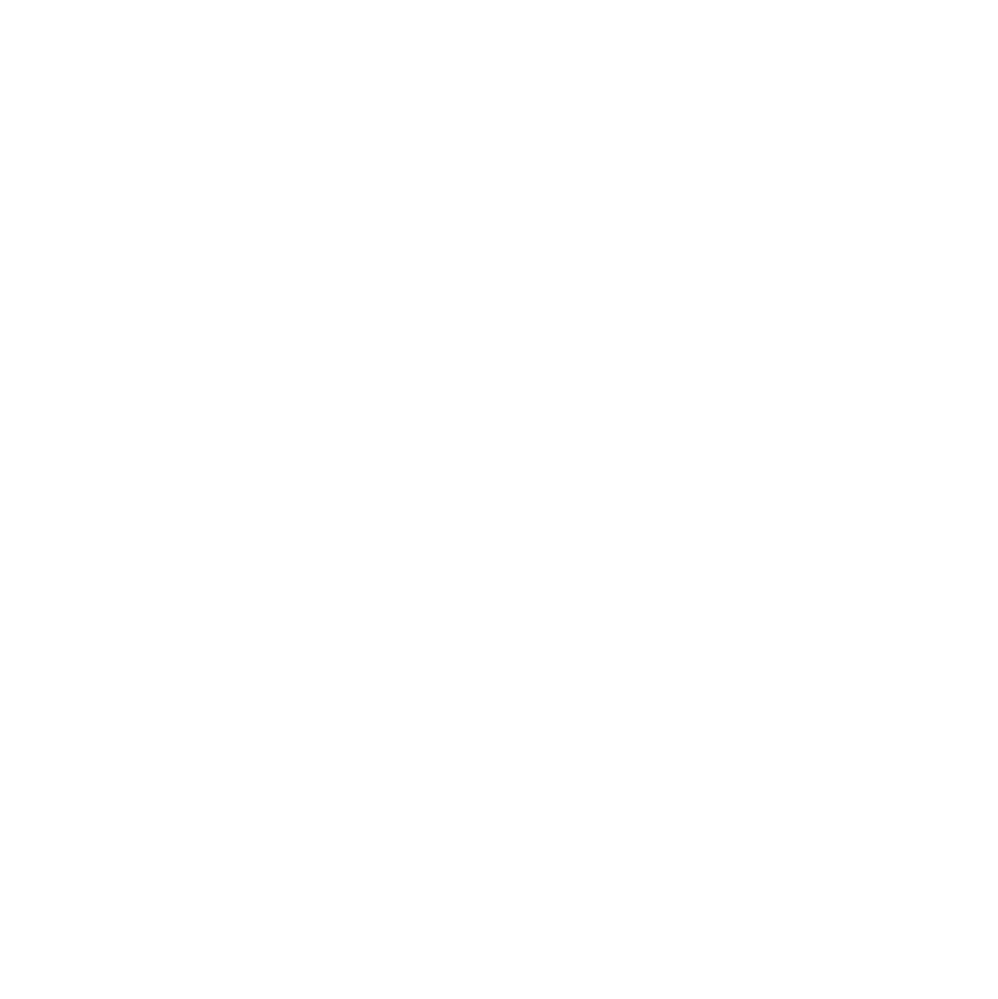 LetsOpp Logo V5 Wit